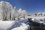 Beautiful winter snow scene pictures computer wallpapers series 1