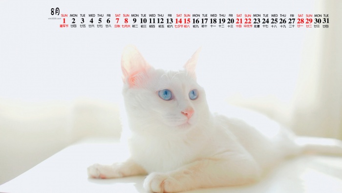 2021年6月可爱萌宠桌面日历壁纸