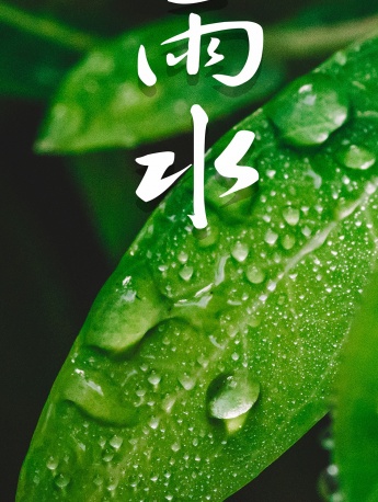 24 solar terms rain mobile wallpaper pictures