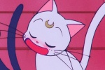 Luna Artemis couple's avatar