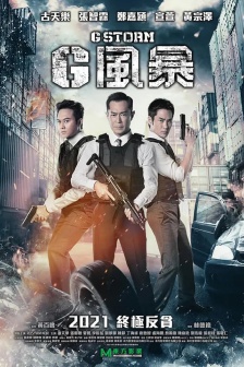 電影《反貪風暴5》海報圖片