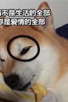 Dog earthy love words emoticon pictures