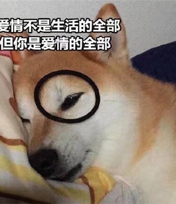 Dog earthy love words emoticon pictures