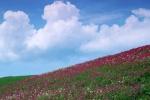 Blue sky and white clouds scenery desktop wallpaper pictures second series