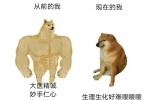 Summary of emoticons comparing two dogs