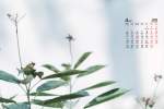 April 2022 Eye Protection HD Desktop Calendar Wallpaper