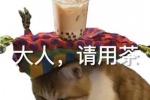大人请用茶