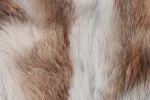 Fur series creative mobile wallpaper