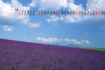 May 2022 fresh blue sky and green land scenery calendar wallpaper