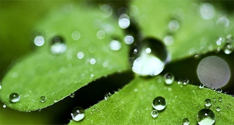 Complete collection of fresh mobile phone wallpapers