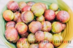 August 2021 gourmet desktop calendar wallpaper under the blue sky
