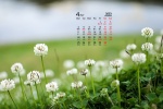 2022年4月清新淡雅的花朵桌面日历壁纸