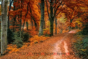 November 2021 autumn landscape desktop calendar wallpaper