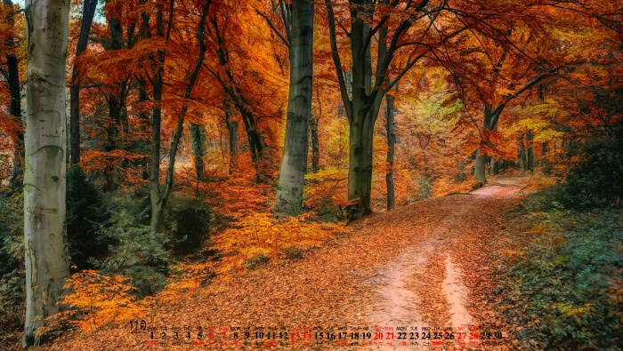 2021年11月秋天风景桌面日历壁纸