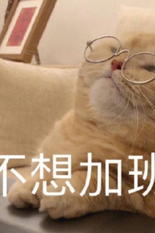猫咪不想加班表情包