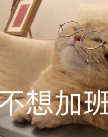 Cat doesn’t want to work overtime emoticon pack