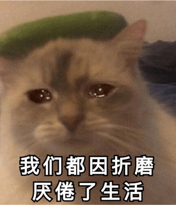 Cute cat sad emoticon pack