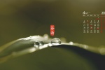 2022年4月節氣穀雨日曆壁紙