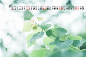 Eye protection natural scenery calendar wallpaper for August 2021