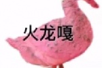 火龙嘎表情包