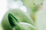 2022年3月护眼绿色电脑日历壁纸