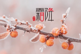 传统节日霜降图片桌面壁纸