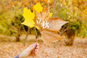 24 solar terms Beginning of Autumn pictures desktop wallpaper