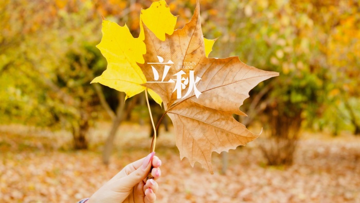 24 solar terms Beginning of Autumn pictures desktop wallpaper