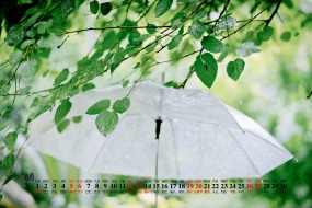 2021年6月绿叶花卉蓝天桌面日历壁纸