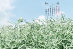 2021年9月绿色风景自然桌面日历壁纸