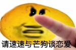 请速速与芒狗谈恋爱表情包