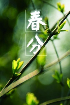 24 solar terms and spring equinox HD picture material