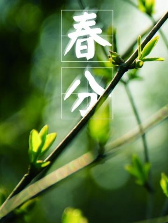 24节气春分高清图片素材