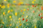 June 2021 Flowers and Plants Desktop Calendar Wallpaper
