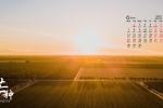 2021年6月芒种桌面日历壁纸图片
