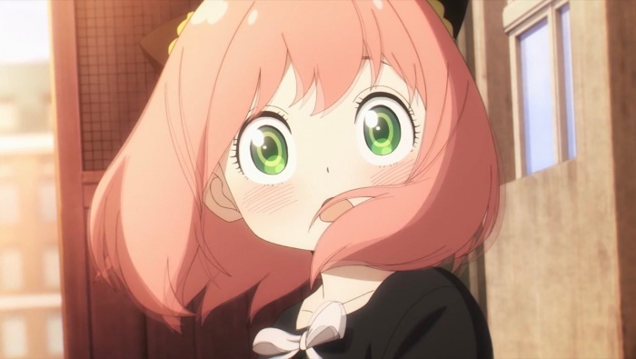 spy house aniya hd computer wallpaper