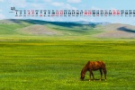 September 2021 beautiful grassland scenery calendar wallpaper