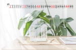 Simple and fresh desktop calendar wallpaper for August 2021