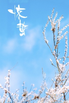 Awakening of Insects Fresh Flowers Mobile Wallpaper