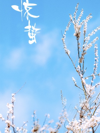 Awakening of Insects Fresh Flowers Mobile Wallpaper