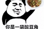 你是一袋酸豆角又酸又逗又钻牛角