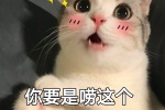 你要是唠这个我可不困了啊表情包（猫咪版）