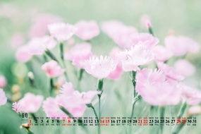August 2021 park flowers and leaves desktop calendar wallpaper