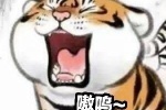 小老虎嗷呜表情包
