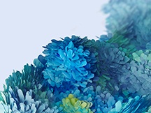 經典手機原生桌布合集