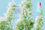 May 2021 Beginning of Summer solar term computer calendar wallpaper