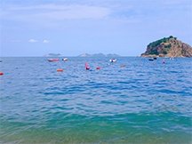 夏日蓝色的海洋风光