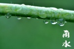 24 Solar Terms: Rain Season Picture Wallpaper