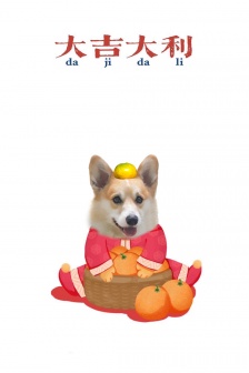 Corgi New Year creative mobile wallpaper