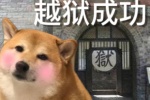 狗狗越狱成功表情包